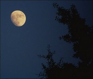 Praying Fajr in its Earliest Time