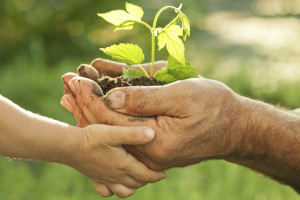 A glimpse into the nurturing upbringing of Maulana Asad Madni rahimahullah towards his daughter